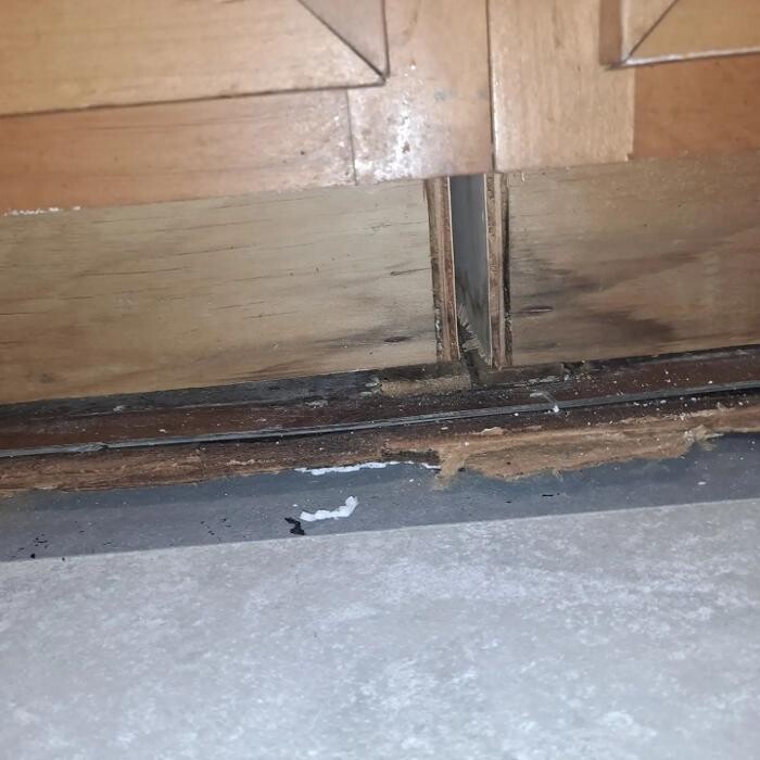 Images Mold Inspection Service