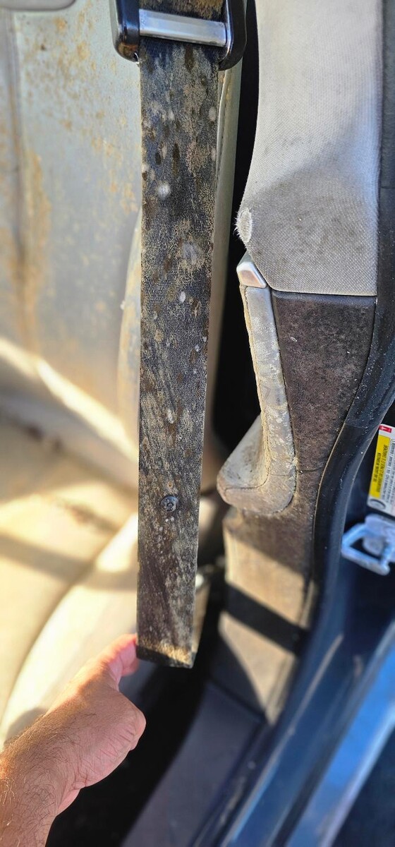 Images Mold Inspection Service