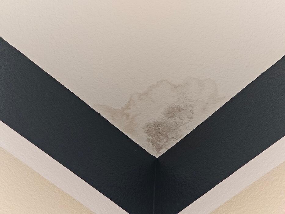 Images Mold Inspection Service
