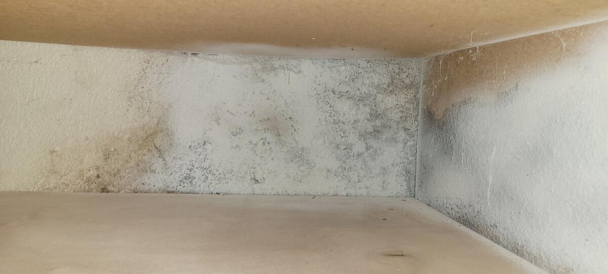 Images Mold Inspection Service