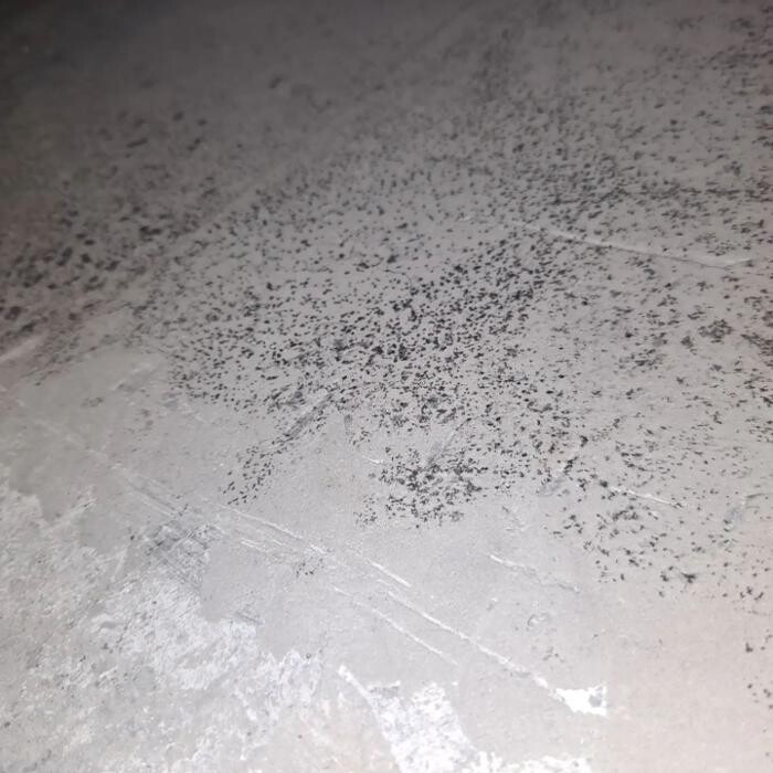Images Mold Inspection Service