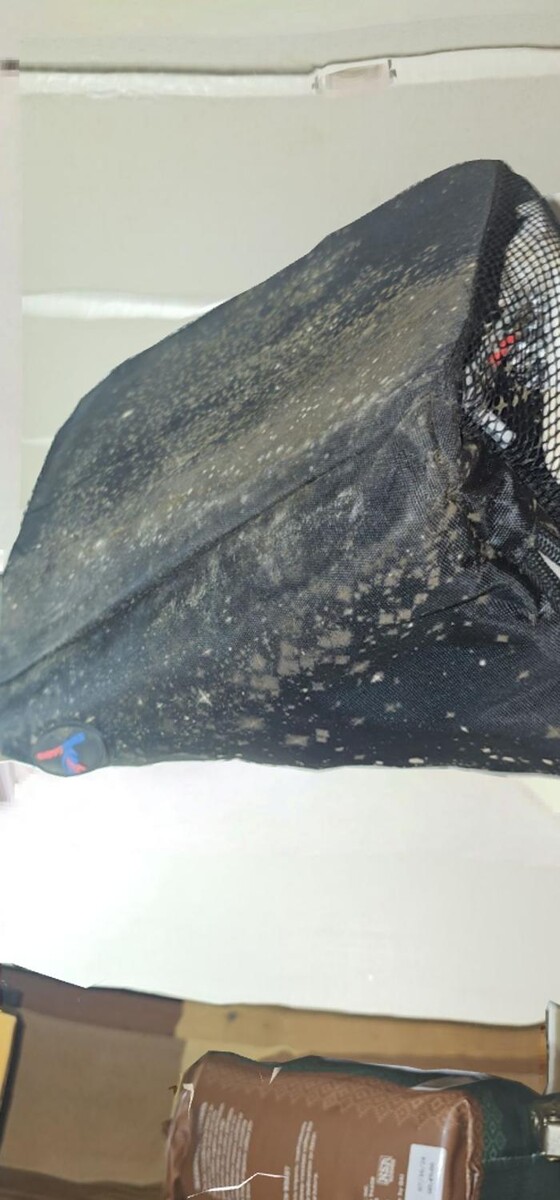 Images Mold Inspection Service