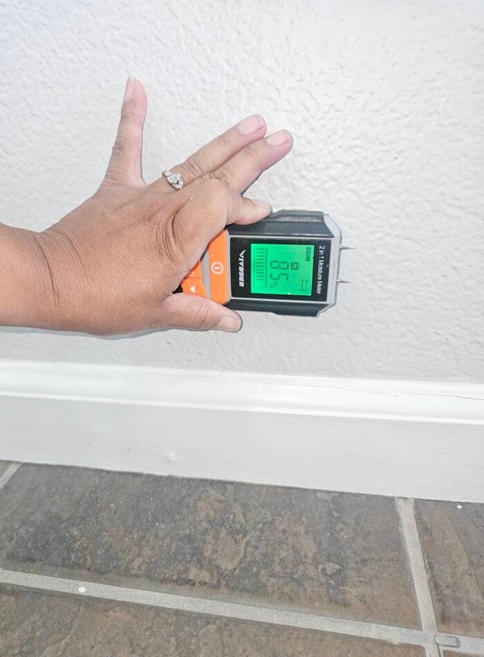 Images Mold Inspection Service