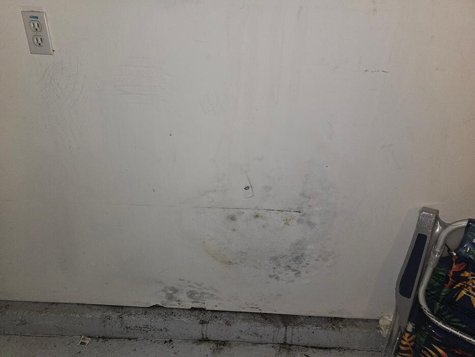 Images Mold Inspection Service