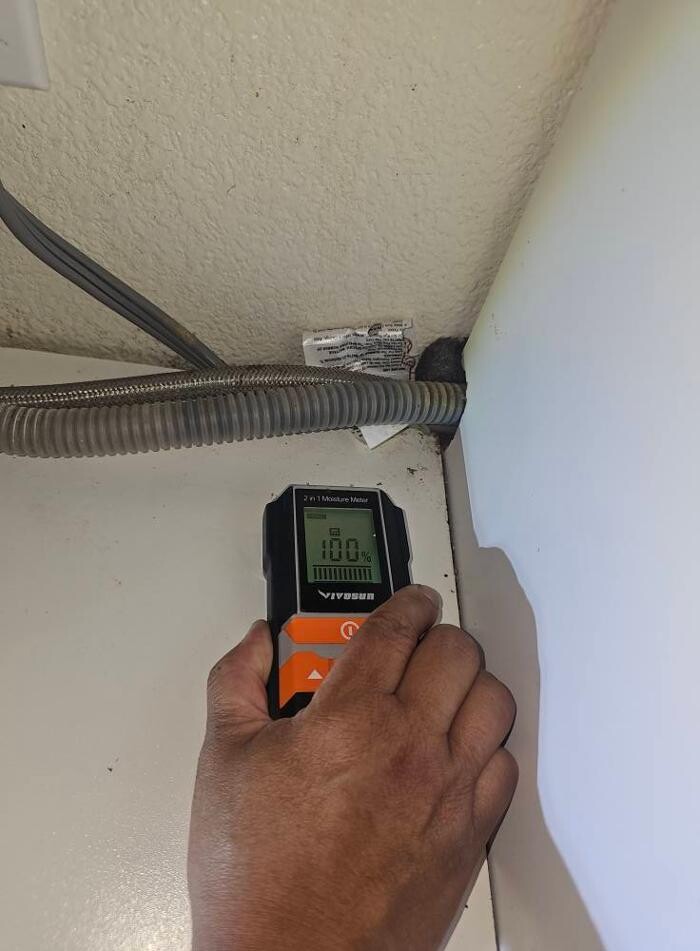 Images Mold Inspection Service