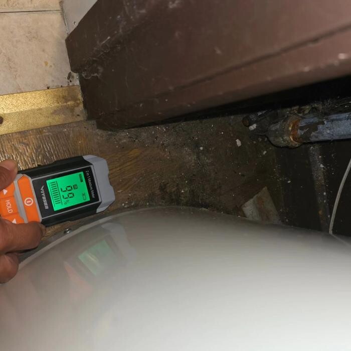 Images Mold Inspection Service