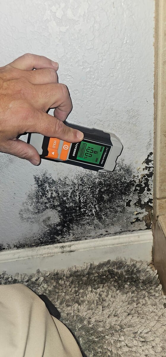 Images Mold Inspection Service