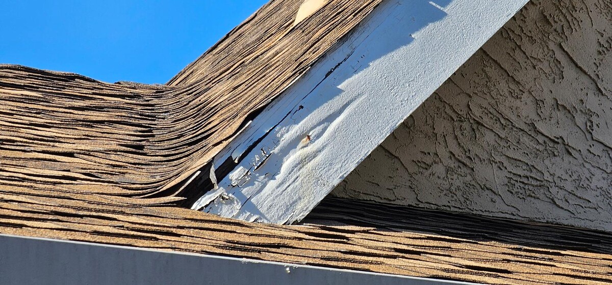 Images Mold Inspection Service