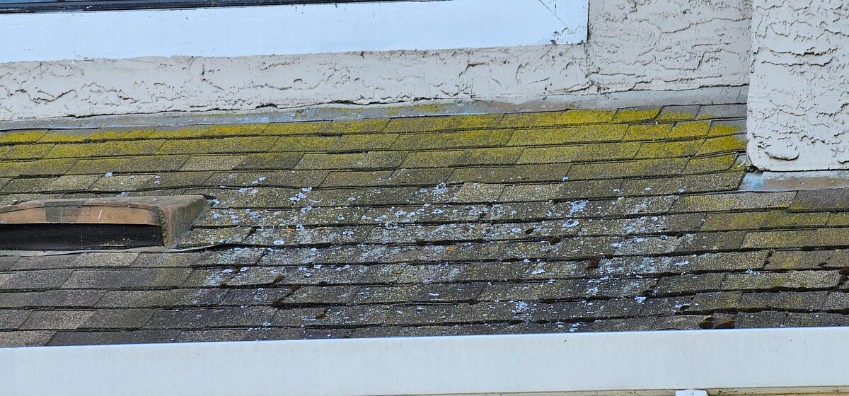 Images Mold Inspection Service