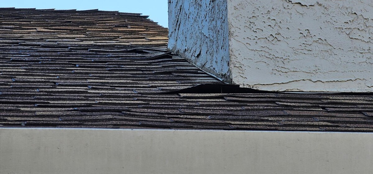 Images Mold Inspection Service