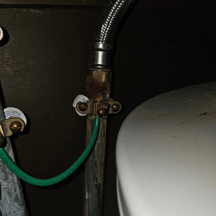 Images Mold Inspection Service