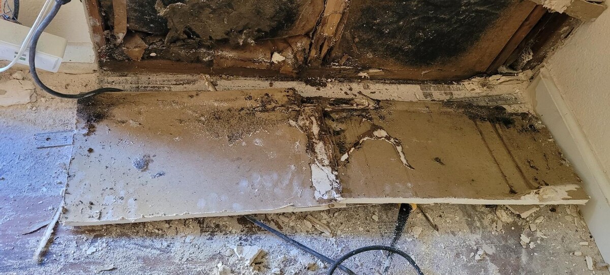 Images Mold Inspection Service