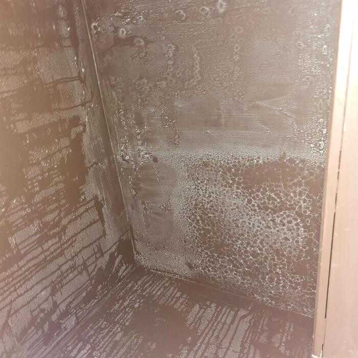 Images Mold Inspection Service