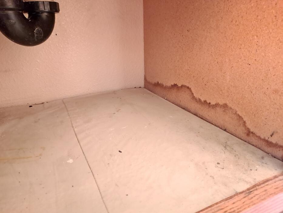 Images Mold Inspection Service