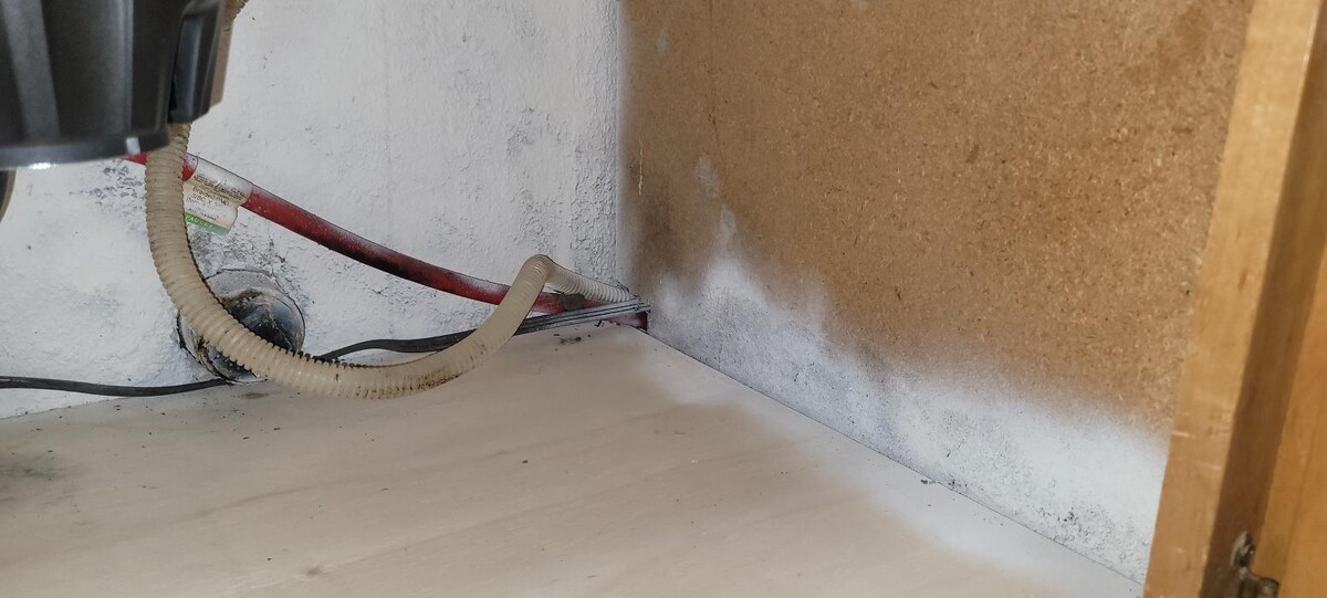 Images Mold Inspection Service