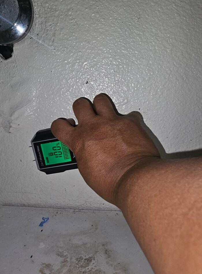 Images Mold Inspection Service