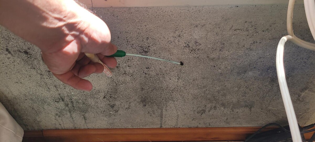 Images Mold Inspection Service