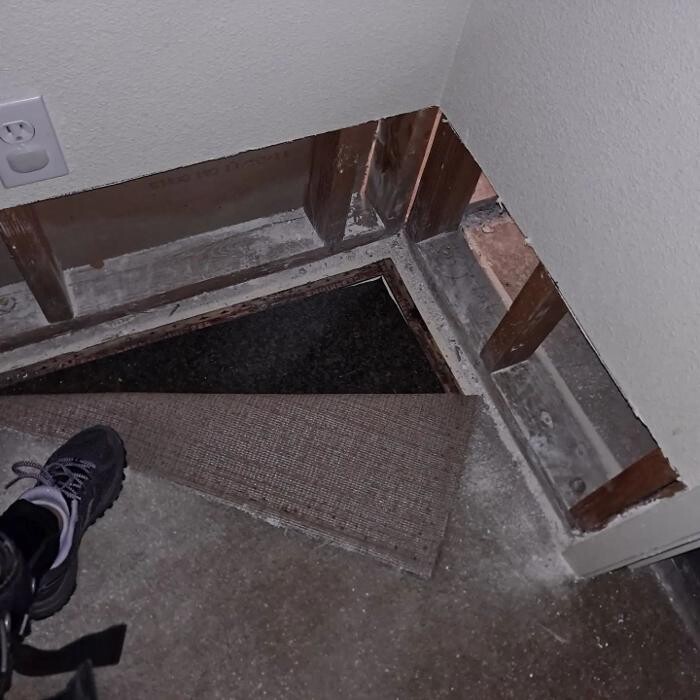 Images Mold Inspection Service
