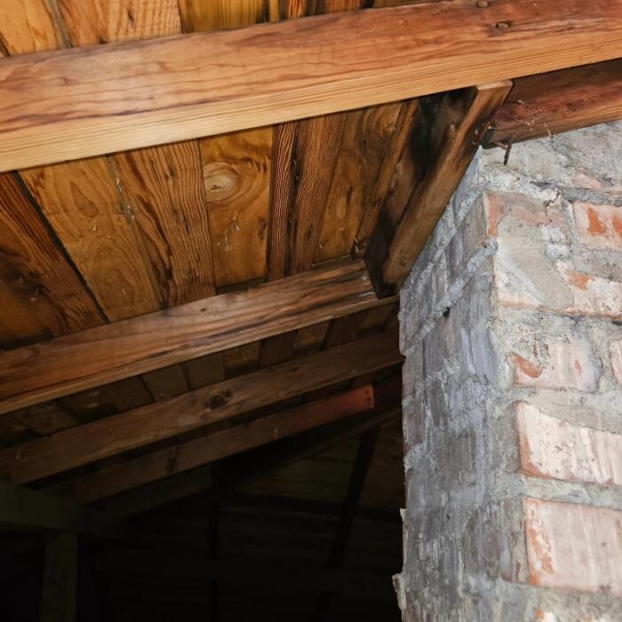 Images Mold Inspection Service