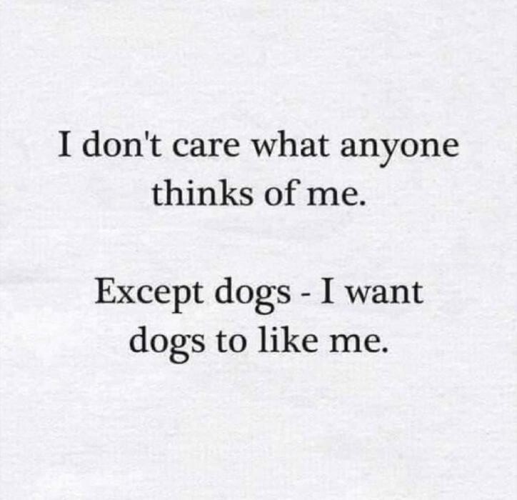 Images Glow Designer Wigs