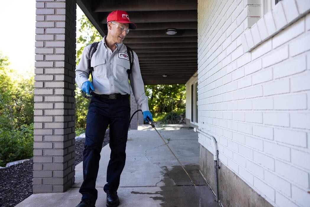 Images Fox Pest Control Worcester