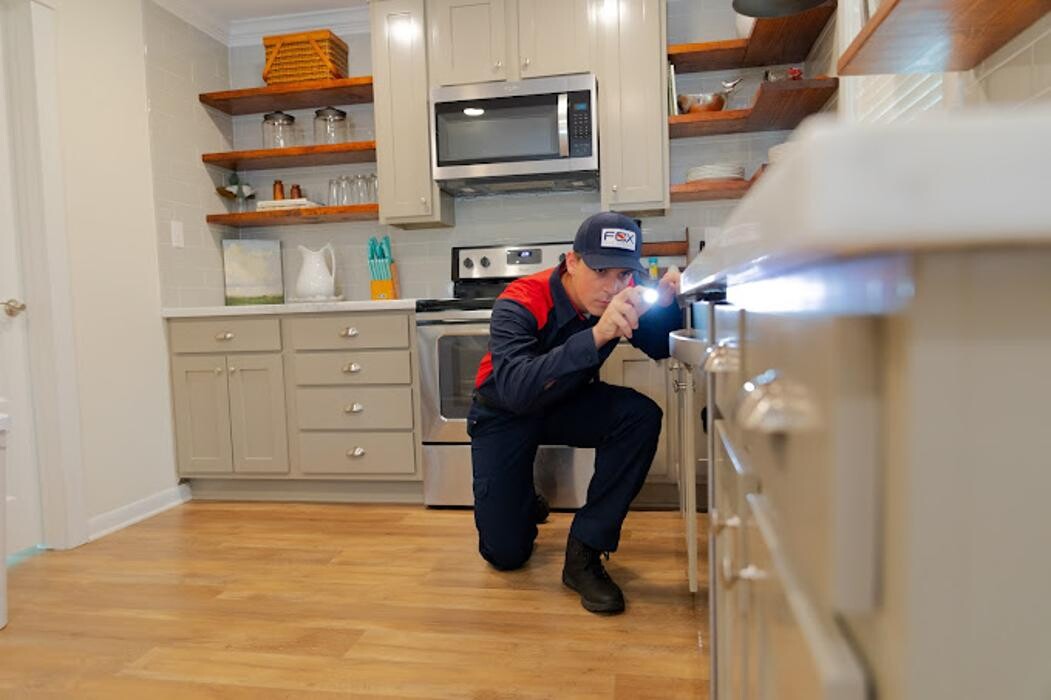 Images Fox Pest Control Worcester