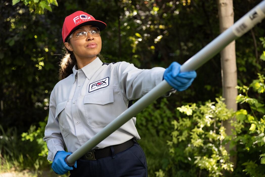 Images Fox Pest Control Worcester