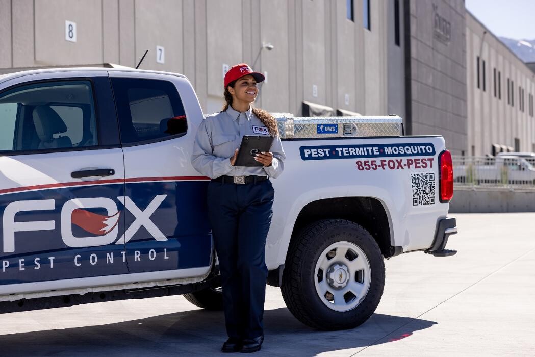 Images Fox Pest Control Worcester