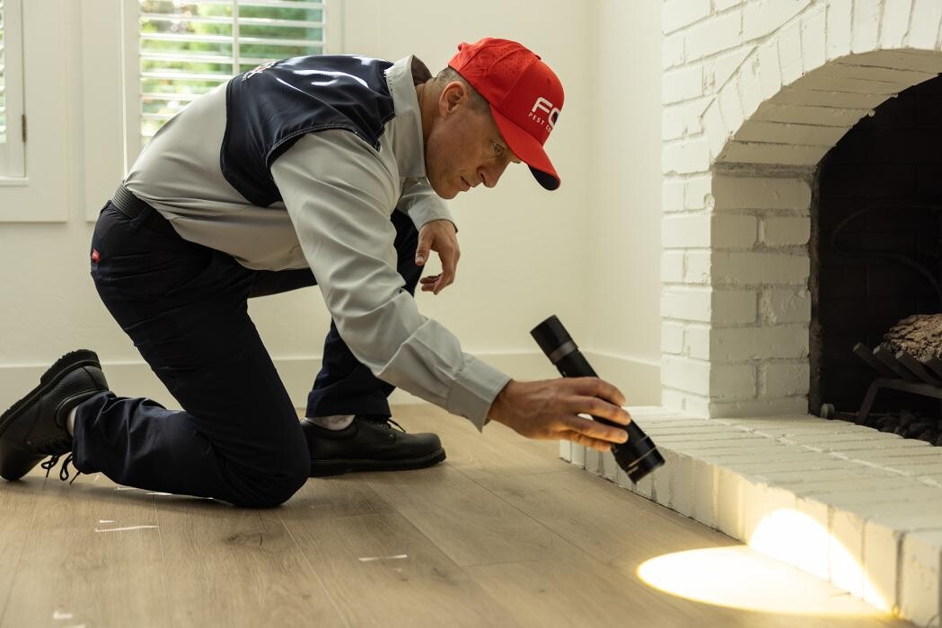 Images Fox Pest Control Worcester