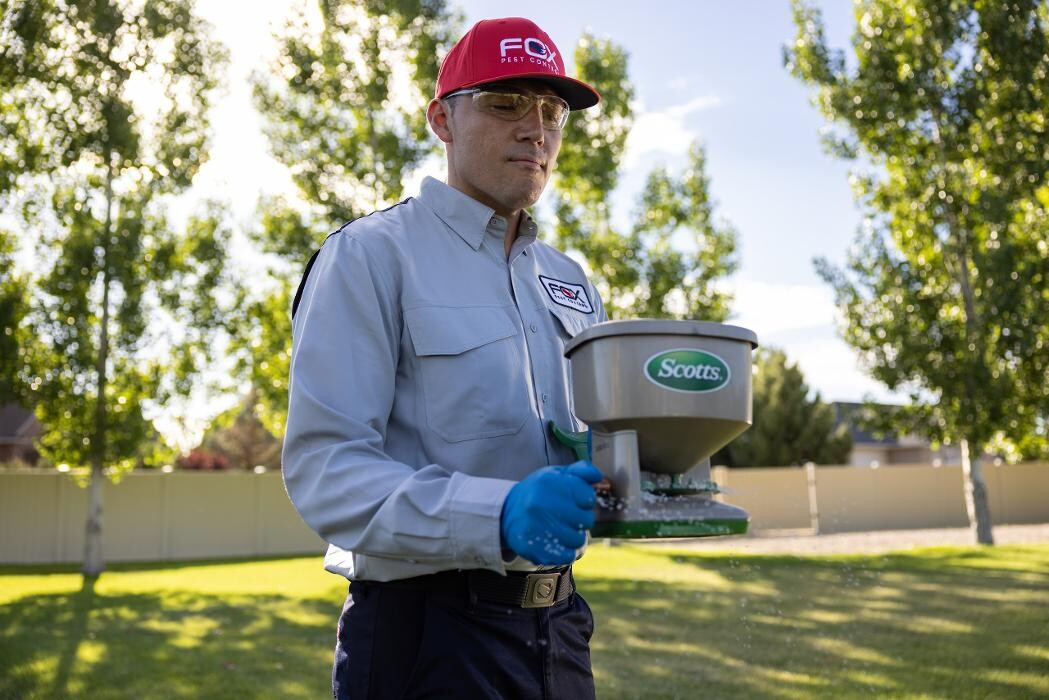 Images Fox Pest Control Worcester