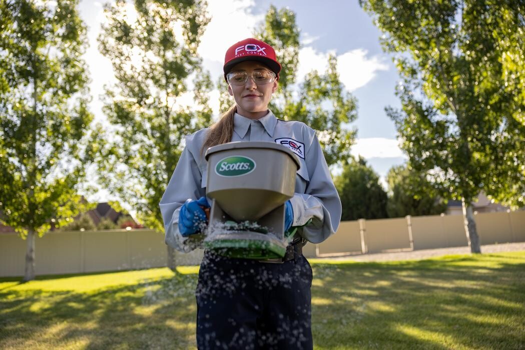 Images Fox Pest Control Worcester