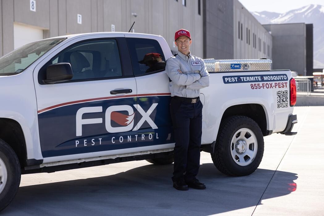 Images Fox Pest Control Worcester