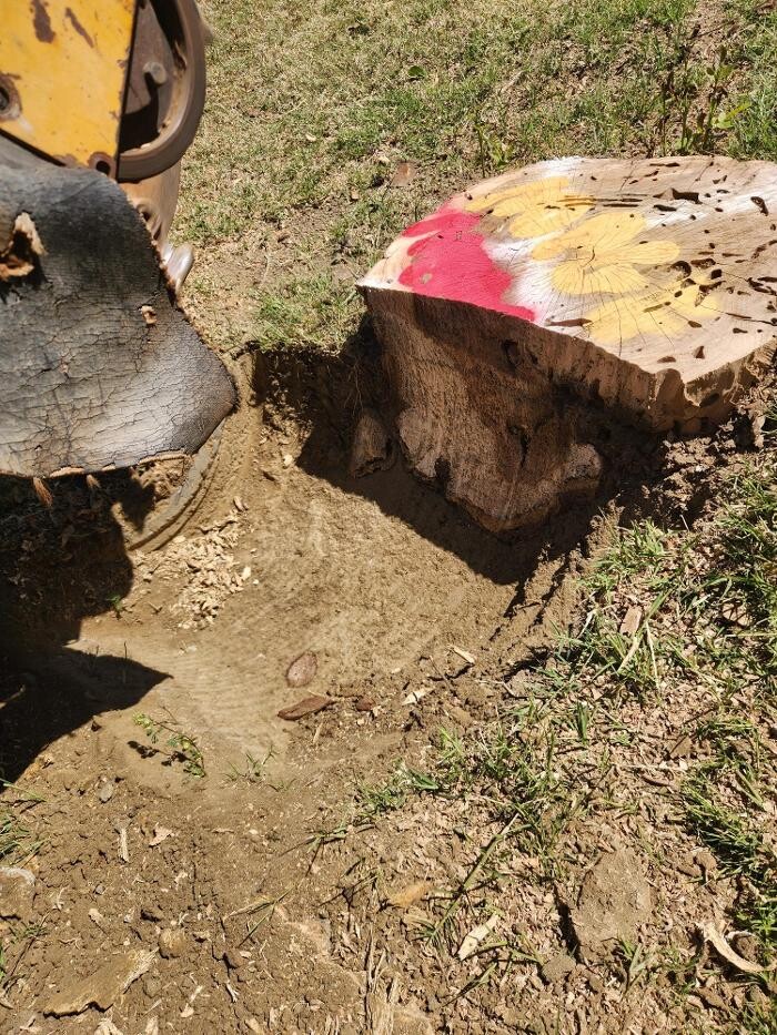 Images Gonzalez Pro Tree Service