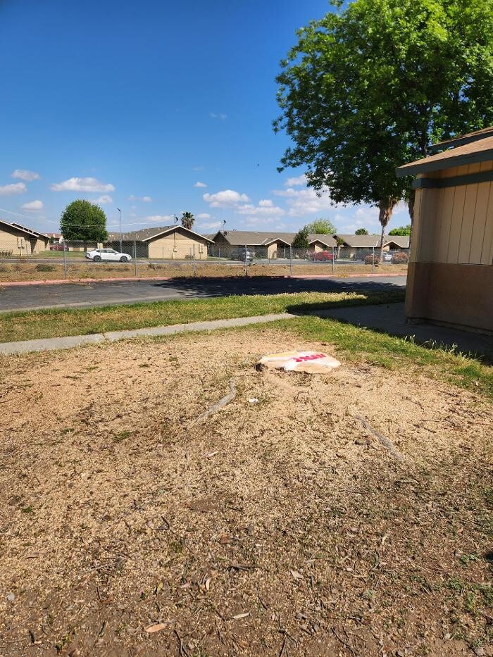 Images Gonzalez Pro Tree Service