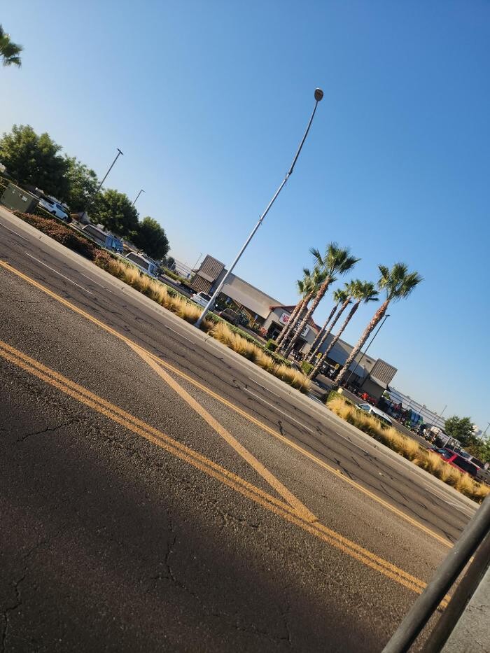 Images Gonzalez Pro Tree Service