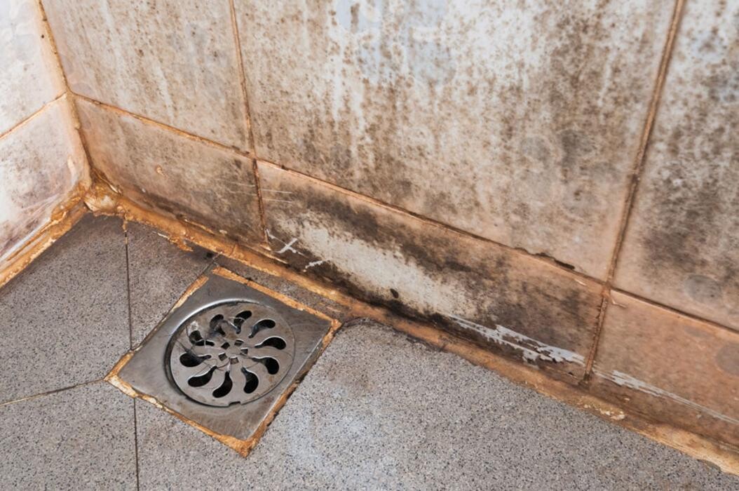 Images Optima Construction & Abatement Inc