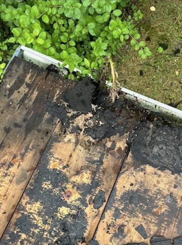 Images Northcoast Roof Repairs LLC