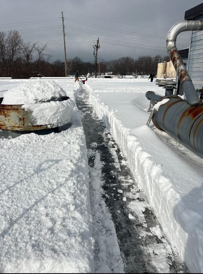 Images Northcoast Roof Repairs LLC