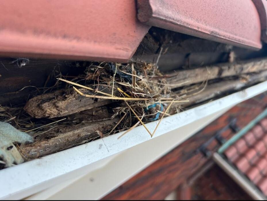 Images Northcoast Roof Repairs LLC