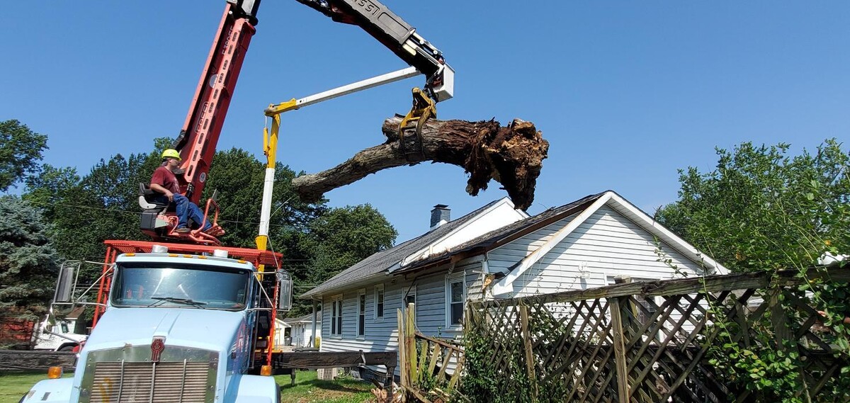 Images Whitledge Tree Service LLC