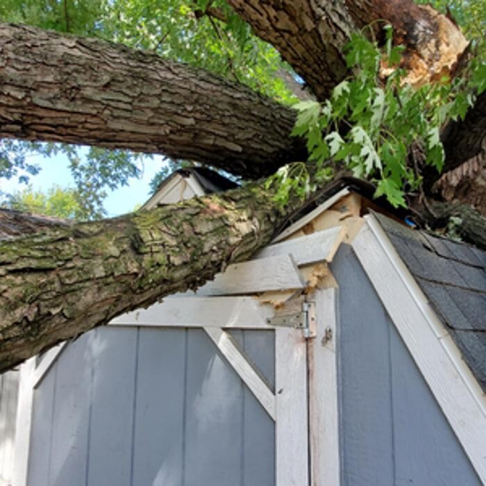 Images Whitledge Tree Service LLC