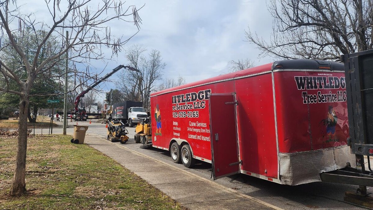 Images Whitledge Tree Service LLC