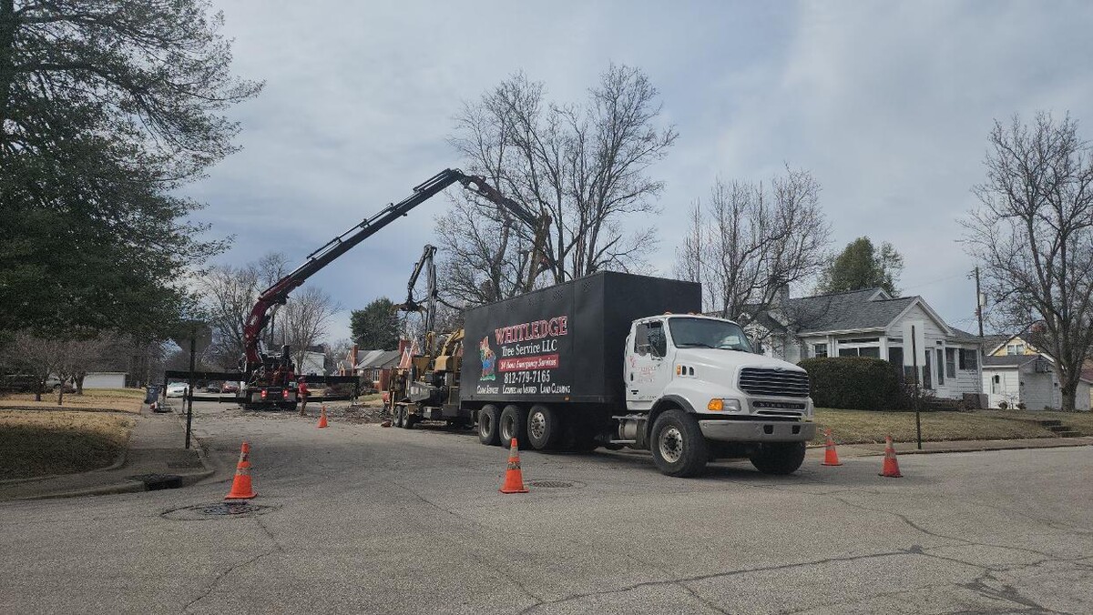 Images Whitledge Tree Service LLC