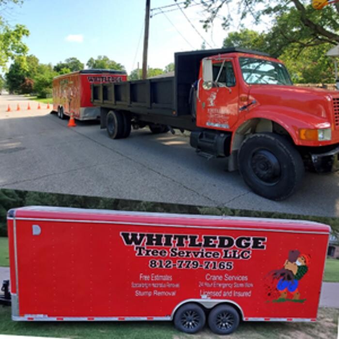 Images Whitledge Tree Service LLC