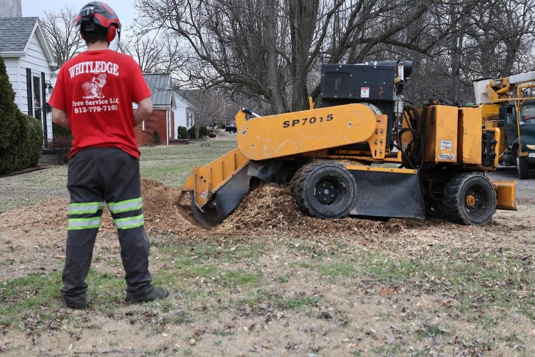 Images Whitledge Tree Service LLC
