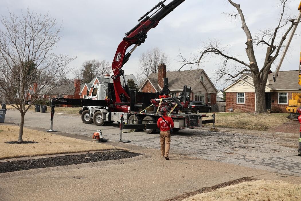 Images Whitledge Tree Service LLC