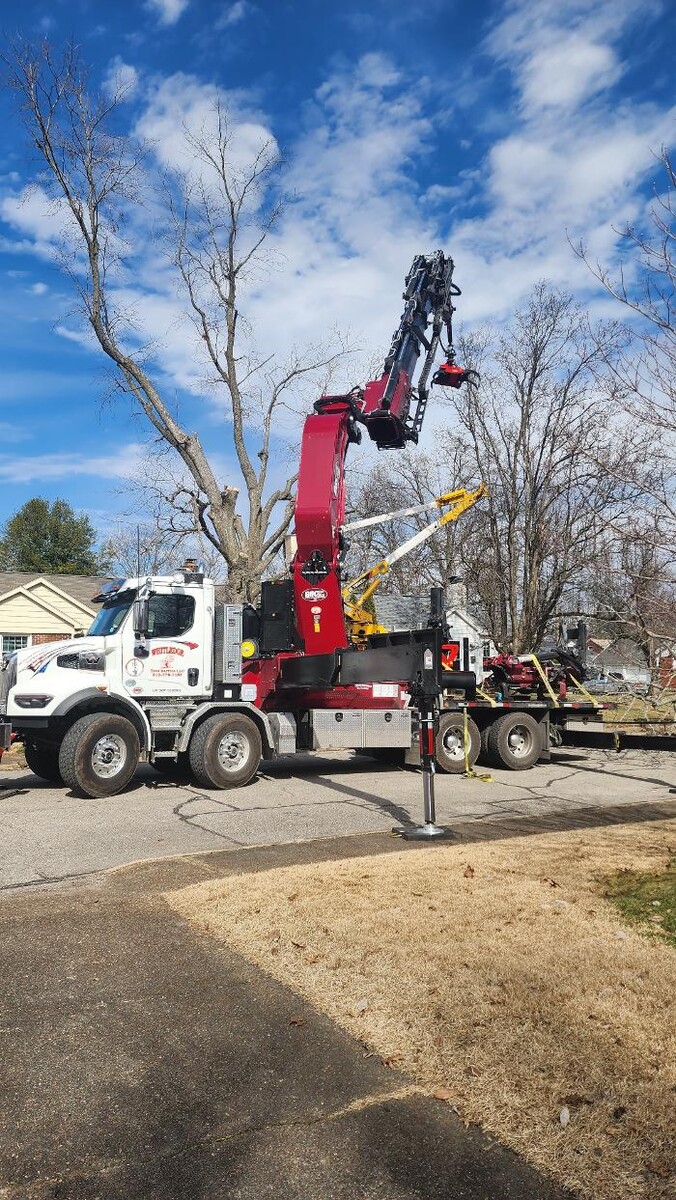 Images Whitledge Tree Service LLC