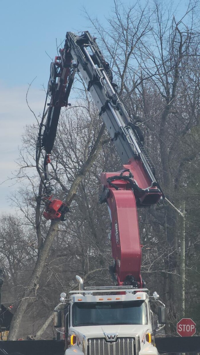 Images Whitledge Tree Service LLC