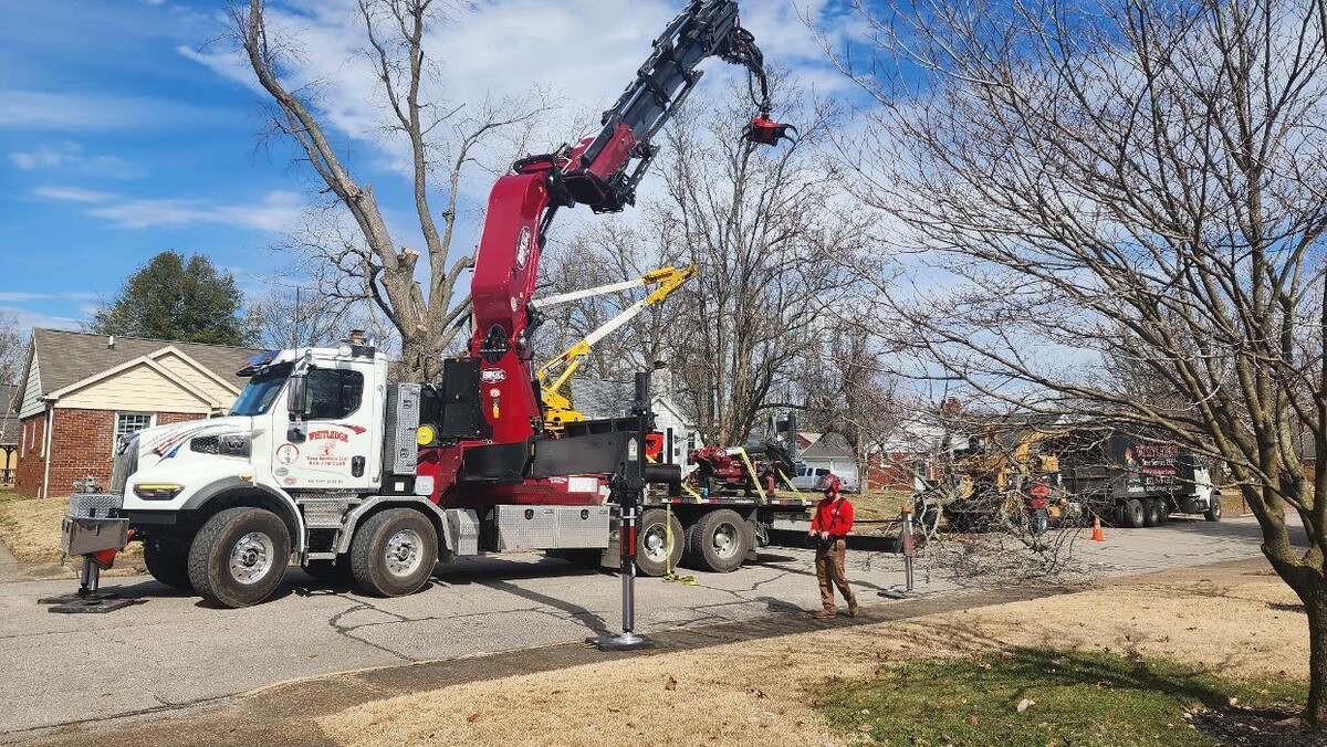 Images Whitledge Tree Service LLC