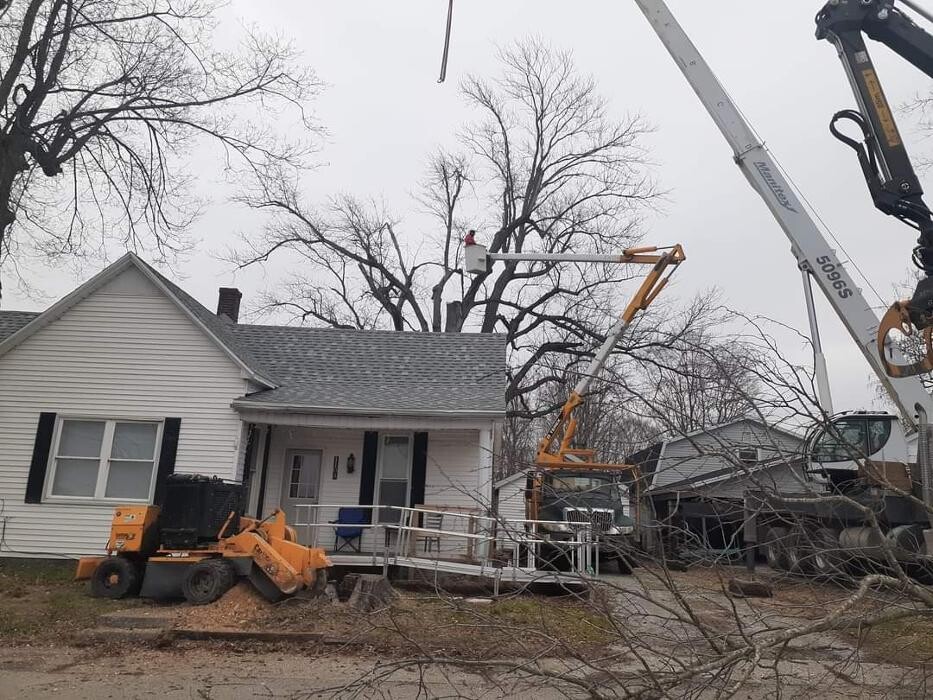 Images Whitledge Tree Service LLC